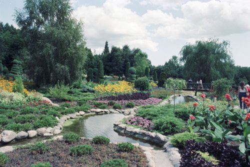 A wellness garden