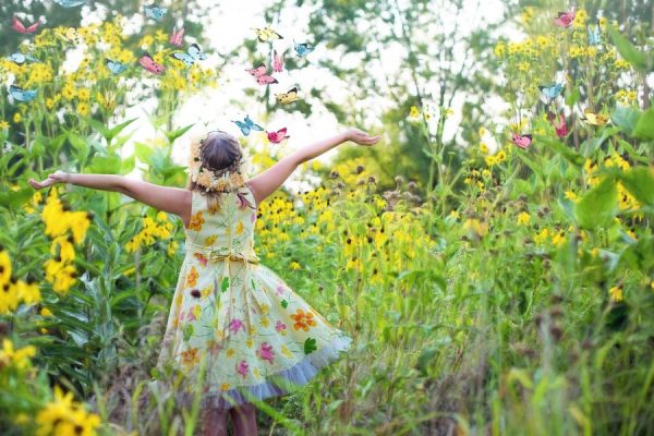Hello and Welcome to the Wellness Garden Blog!!