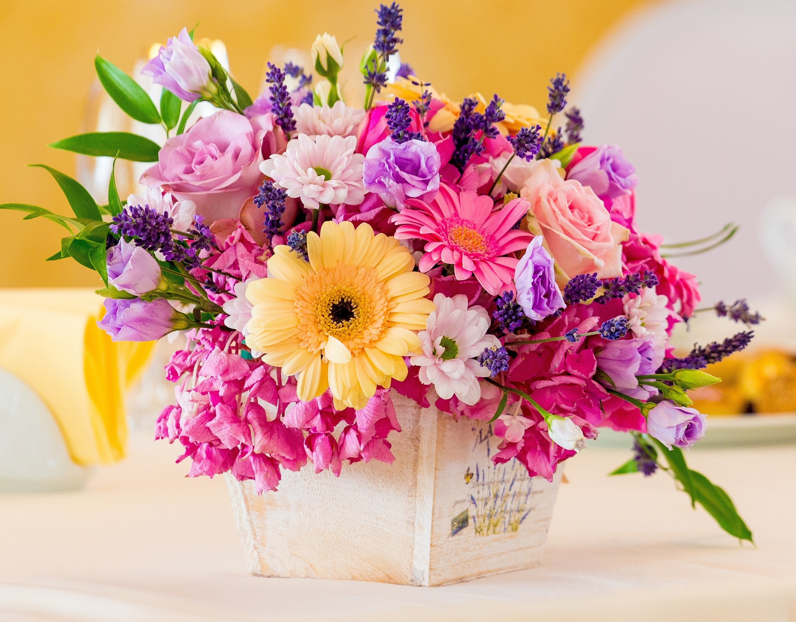 Cut flower arrangement